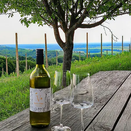 Udobna Hisa Med Vinogradi Blizu Vinarium Lend - Comfortable Vineyard House Near Vinarium Tower Lend *
