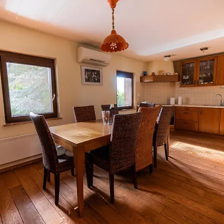Udobna Hisa Med Vinogradi Blizu Vinarium Lend - Comfortable Vineyard House Near Vinarium Tower Lend