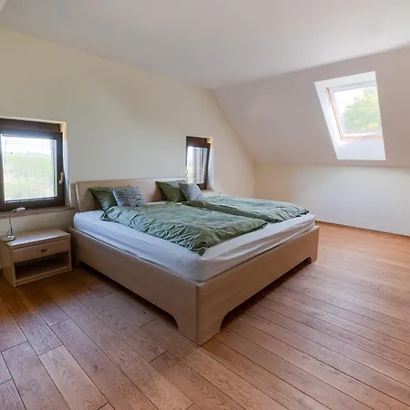 Udobna Hisa Med Vinogradi Blizu Vinarium Lend - Comfortable Vineyard House Near Vinarium Tower Lend Holiday home