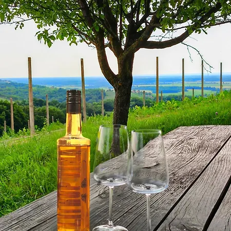 Udobna Hisa Med Vinogradi Blizu Vinarium Lend - Comfortable Vineyard House Near Vinarium Tower Lend *