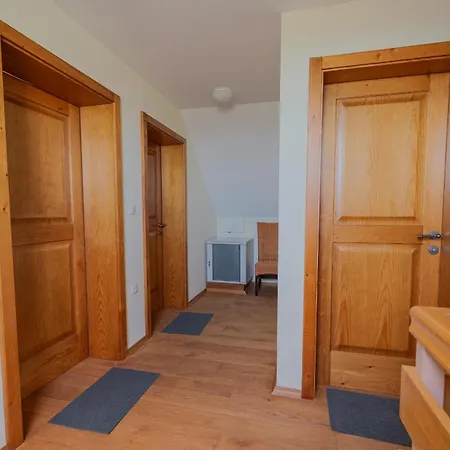 Holiday home Udobna Hisa Med Vinogradi Blizu Vinarium Lend - Comfortable Vineyard House Near Vinarium Tower Lend *