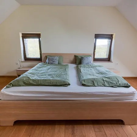 Udobna Hisa Med Vinogradi Blizu Vinarium Lend - Comfortable Vineyard House Near Vinarium Tower Lend * Lendava