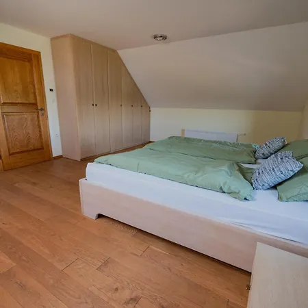 Holiday home Udobna Hisa Med Vinogradi Blizu Vinarium Lend - Comfortable Vineyard House Near Vinarium Tower Lend Lendava