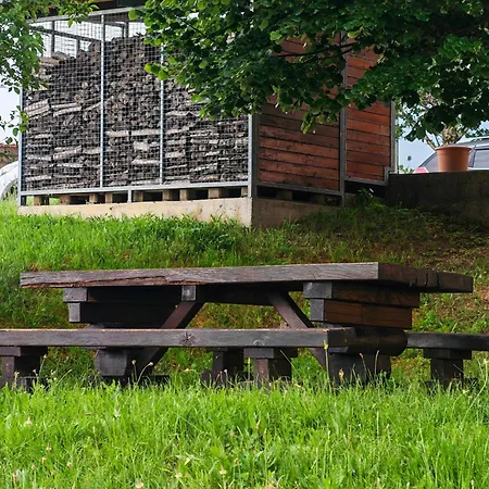 Udobna Hisa Med Vinogradi Blizu Vinarium Lend - Comfortable Vineyard House Near Vinarium Tower Lend Ferienhaus