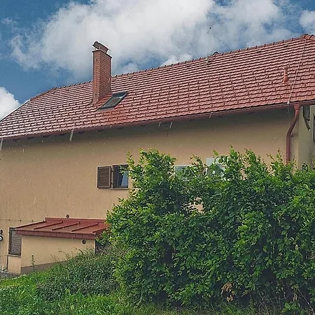 Holiday home Udobna Hisa Med Vinogradi Blizu Vinarium Lend - Comfortable Vineyard House Near Vinarium Tower Lend
