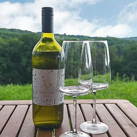 Udobna Hisa Med Vinogradi Blizu Vinarium Lend - Comfortable Vineyard House Near Vinarium Tower Lend