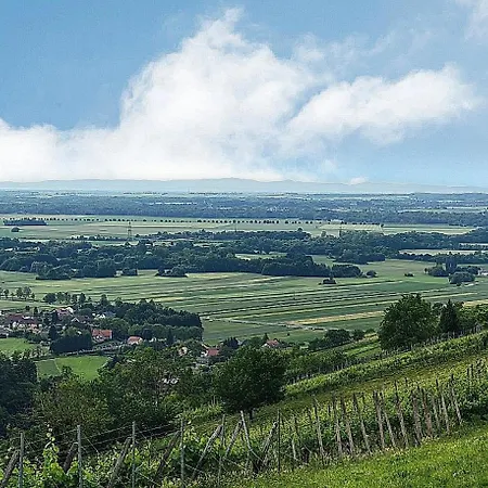 Udobna Hisa Med Vinogradi Blizu Vinarium Lend - Comfortable Vineyard House Near Vinarium Tower Lend Holiday home Lendava