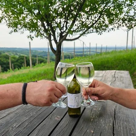 Holiday home Udobna Hisa Med Vinogradi Blizu Vinarium Lend - Comfortable Vineyard House Near Vinarium Tower Lend