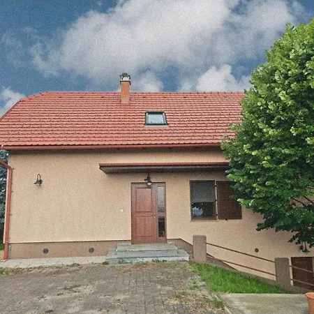 Udobna Hisa Med Vinogradi Blizu Vinarium Lend - Comfortable Vineyard House Near Vinarium Tower Lend Holiday home