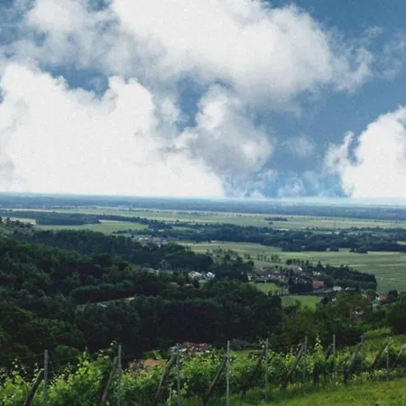 Udobna Hisa Med Vinogradi Blizu Vinarium Lend - Comfortable Vineyard House Near Vinarium Tower Lend *